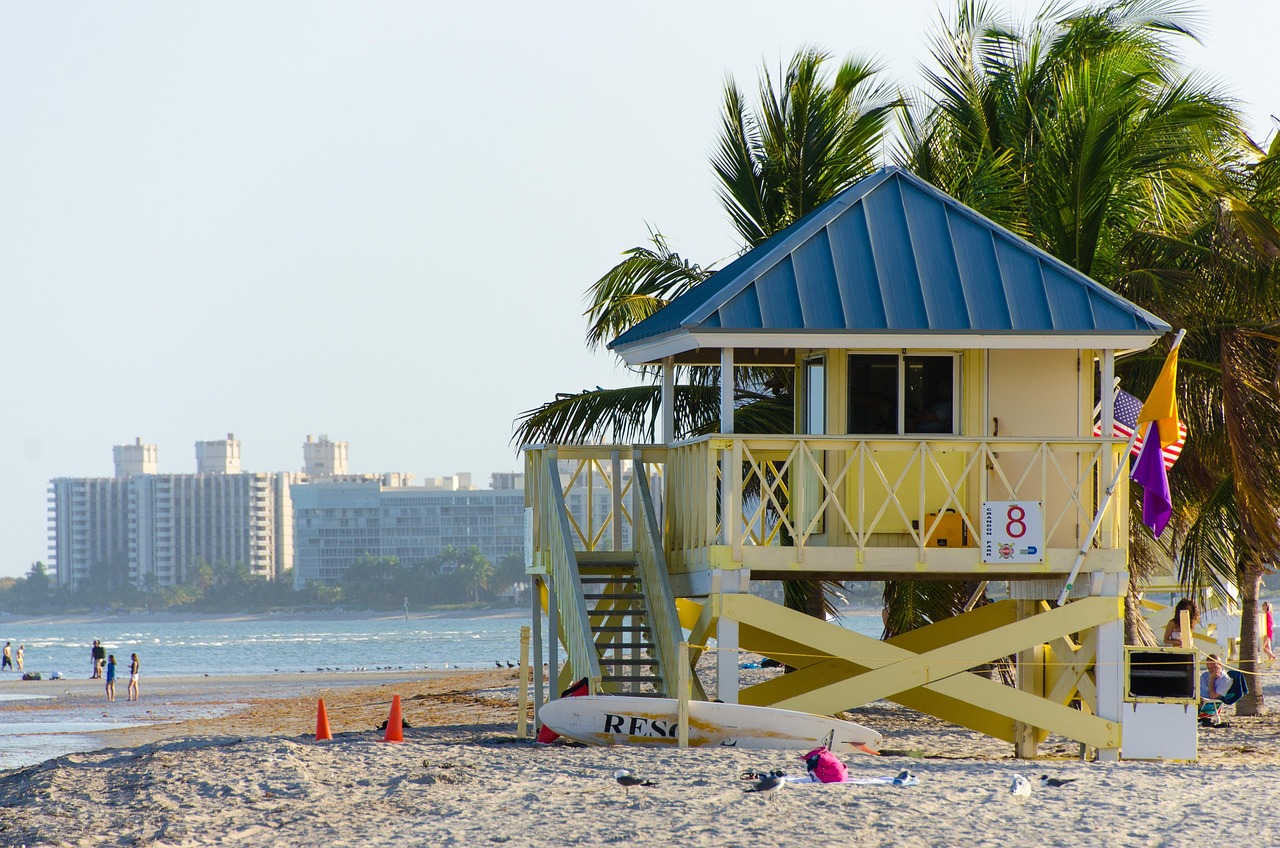 beach, miami, nature, crandon park beach, key biscayne, summer, ocean, florida, miami beach, bay, tourism, miami florida, waterfront, tropical, palm
