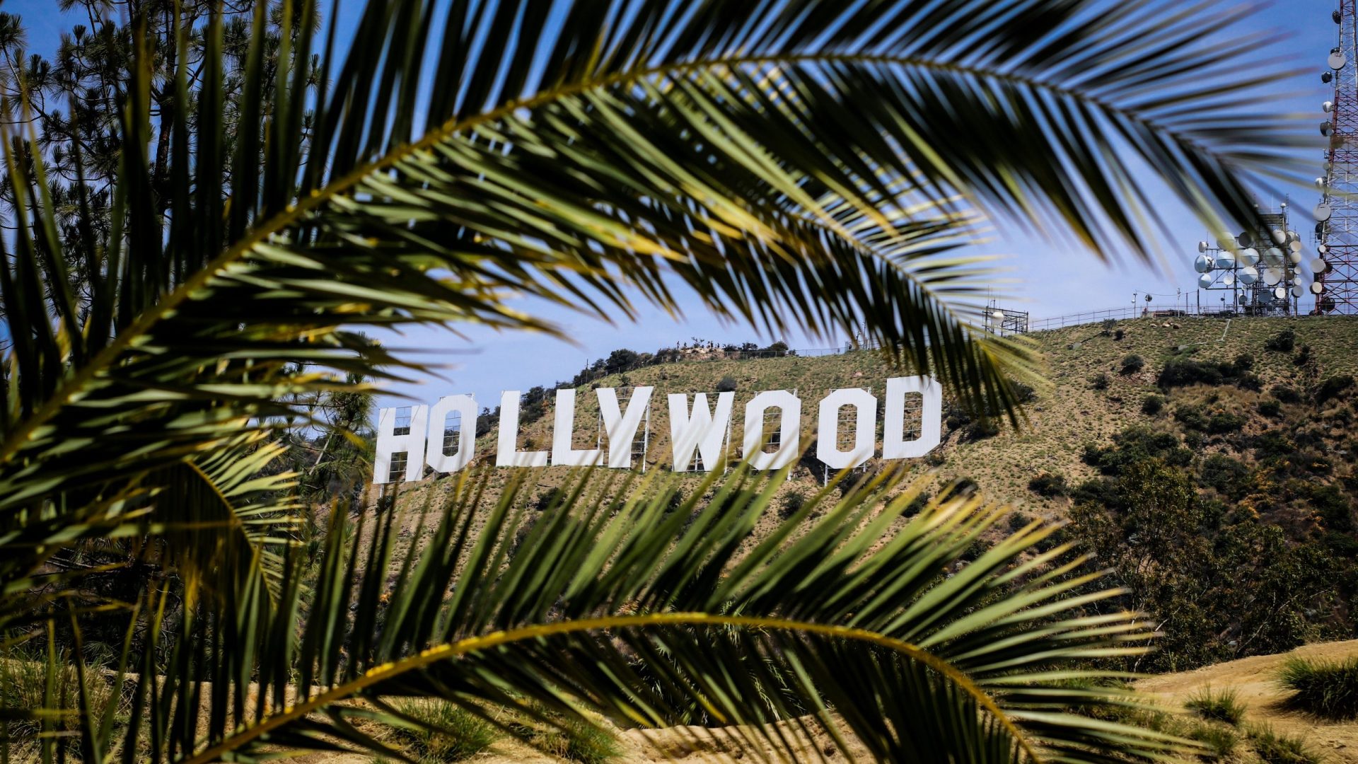 Famous Hollywood Sign framed by palm leaves on a sunny day in Los Angeles, California.